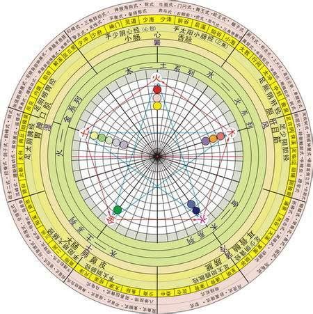 五行補木|【欠木】五行欠木的人生指南：徵兆、補救及性格特質